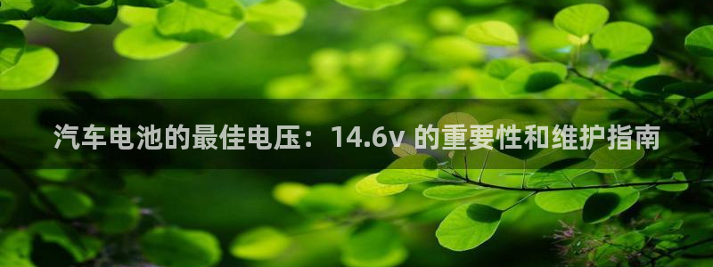 优发国际一触即发登陆：汽车电池的最佳电压：14.6v 的重要性和维护指南