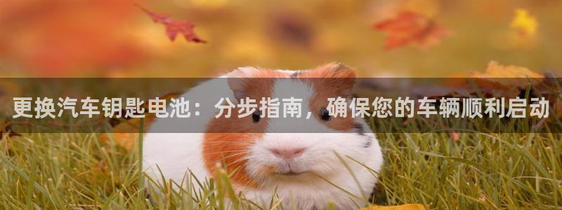 优发国际官网手机号：更换汽车钥匙电池：分步指南，确保您的车辆顺利启动