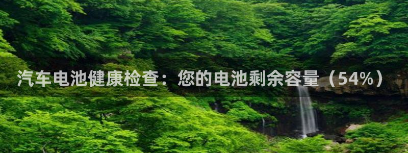 优发国际首页app：汽车电池健康检查：您的电池剩余容量（54%）