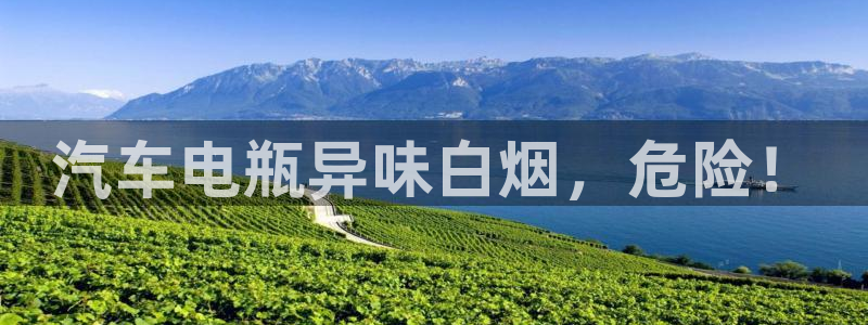优发国际官方网手机版入口：汽车电瓶异味白烟，危险！