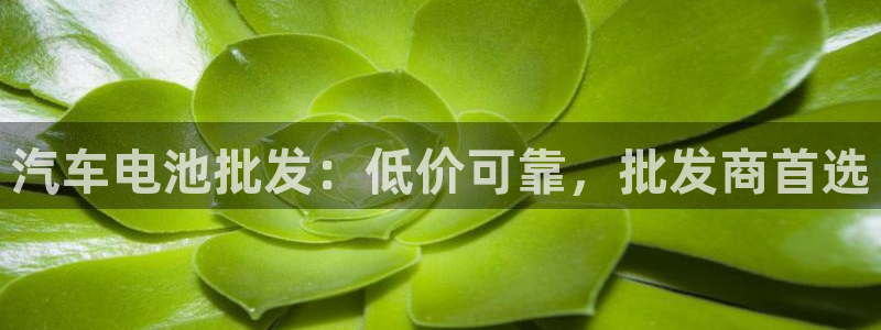 优发国际官网下载安装app：汽车电池批发：低价可靠，批发商首选