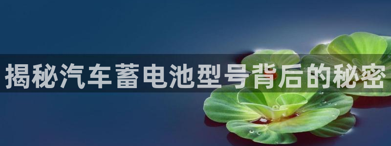 优发国际-触即发：揭秘汽车蓄电池型号背后的秘密