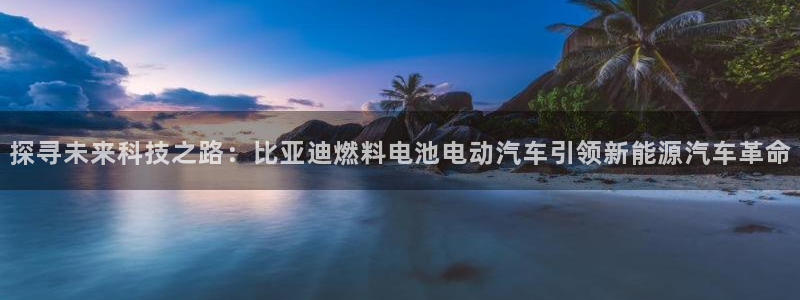 优发国际官方网平台电话：探寻未来科技之路：比亚迪燃料电池电动汽车引领新能源汽车革命