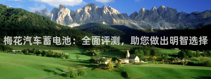 优发国际注册平台是什么：梅花汽车蓄电池：全面评测，助您做出明智选择