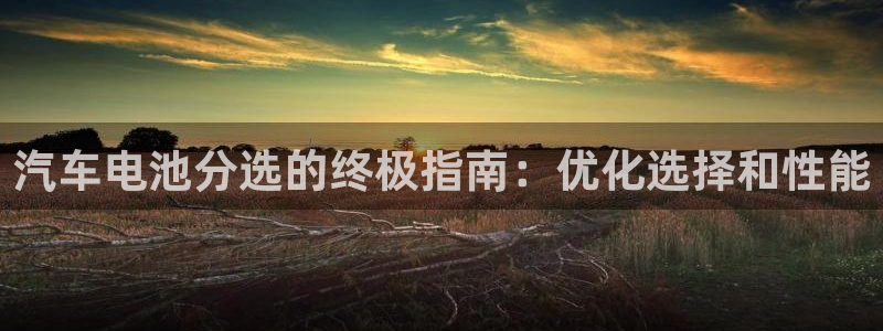 优发国际手机客户端官网首页：汽车电池分选的终极指南：优化选择和性能