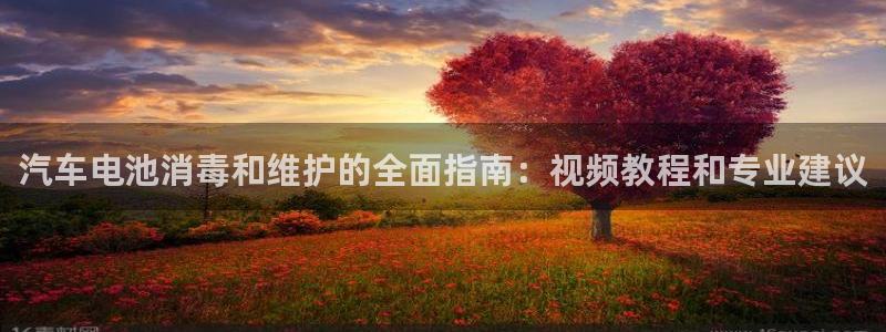优发国际网站178：汽车电池消毒和维护的全面指南：视频教程和专业建议