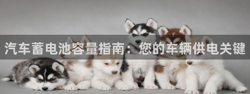优发国际网页：汽车蓄电池容量指南：您的车辆供电关键