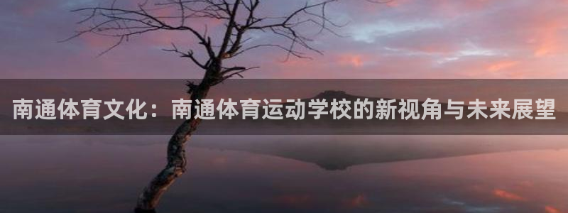 vsport体育：南通体育文化：南通体育运动学校的新视角与未来展望