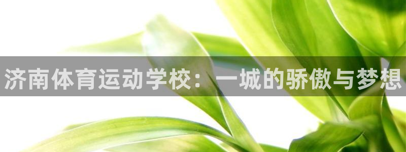 vsport体育在线官网：济南体育运动学校：一城的骄傲与梦想